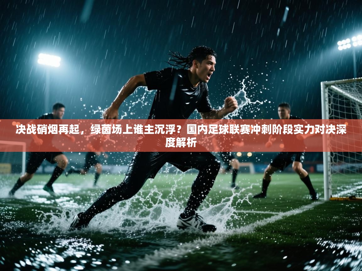 决战硝烟再起，绿茵场上谁主沉浮？国内足球联赛冲刺阶段实力对决深度解析  第1张