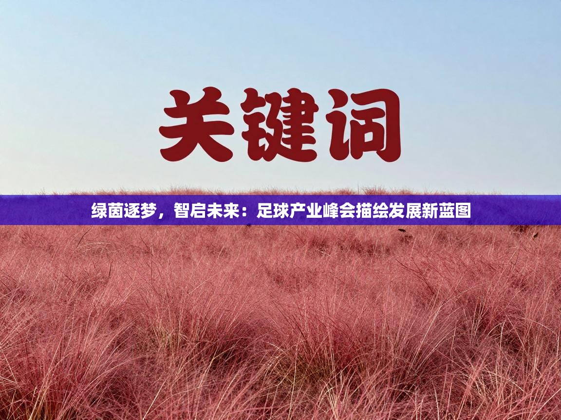绿茵逐梦，智启未来：足球产业峰会描绘发展新蓝图  第2张