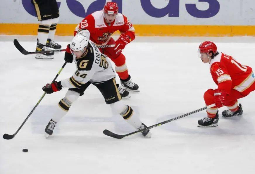 开云体育平台-加拿大女子曲棍球队成功卫冕，成为焦点