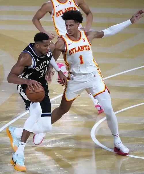 开云体育官方入口-雄鹿击败热火，字母哥三双表现震撼球迷的简单介绍